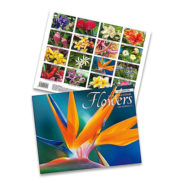 16 MONTH TRADE 2024 Calendar November 2023 February 2025 Flowers of