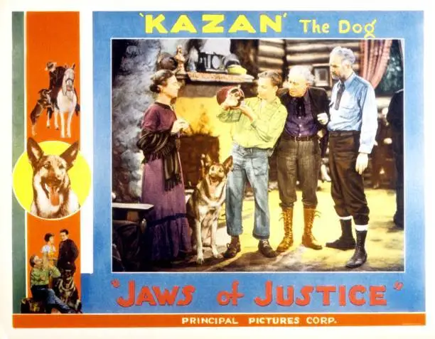 Jaws Of Justice Lobby Card Kazan The Wonder Dog 3 Old Photo