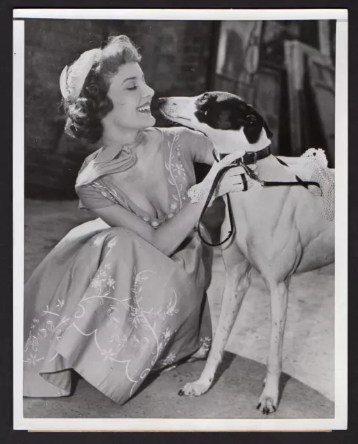 sexy busty PETULA CLARK British Pop Singer & actress THE GAY DOG 1953 Orig Photo