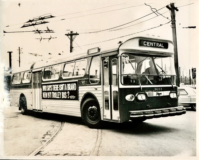 VTG Original B&W 8x10 Photo of a 1971 TTC Western Flyer 9213 Bus Coach Trackless