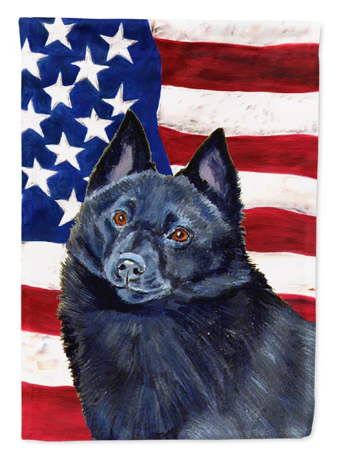 USA American Flag with Schipperke Flag Garden Size LH9009GF