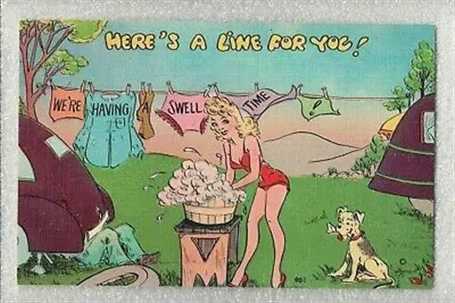 Comic Postcard-Here's A Line For You-We're Having a Swell Time-Dog with Bone