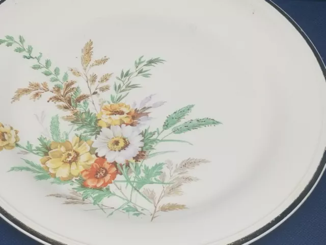 Vintage Edwin M. Knowles China Co-2 Dinner Plates Semi Vitreous USA