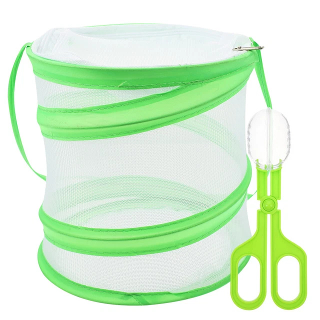 CAGE D'OBSERVATION CYLINDRIQUE Pour Papillons Et Insectes Cage D' En M