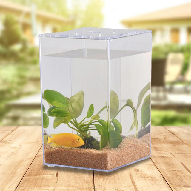 Fish Isolation Box with Lid Landscaping Aquarium Breeding Tank Isolation Box
