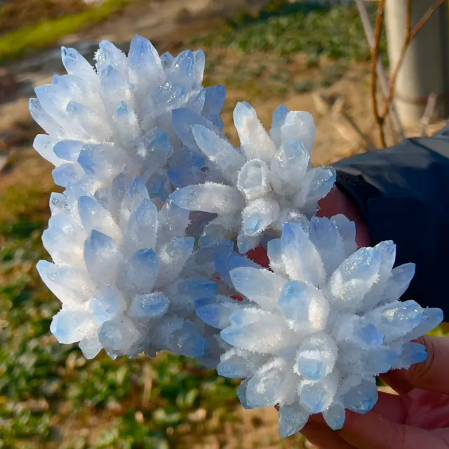 3.01LB New Find sky blue Phantom Quartz Crystal Cluster Mineral Specimen Healing