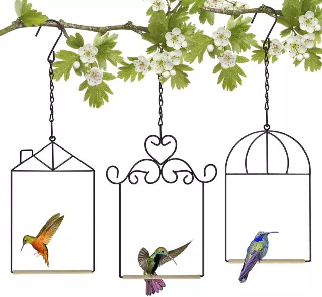 Metal Frame Hummingbird Swings and Perches with Wooden Dowel Black Bird Swing