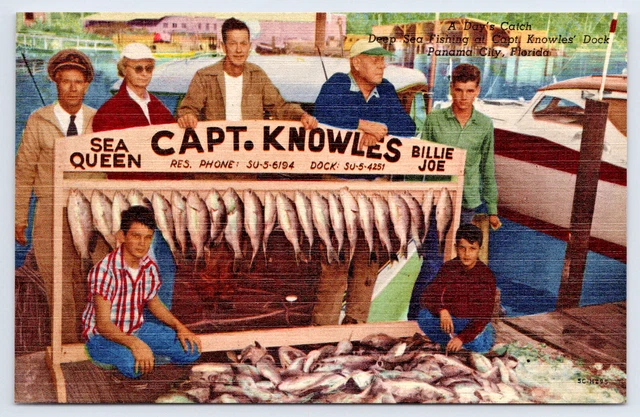 Deep Sea Fishing A Days Catch Capt Knowles Panama City Florida Postcard Ca 1940