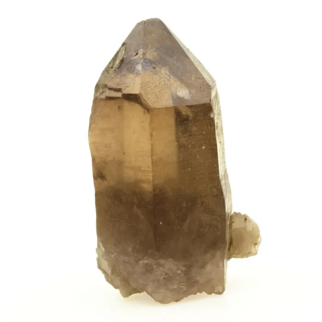 Minéraux collection. Quartz fumé. 288.4 ct. Massif du Mont-Blanc, France. Rare.
