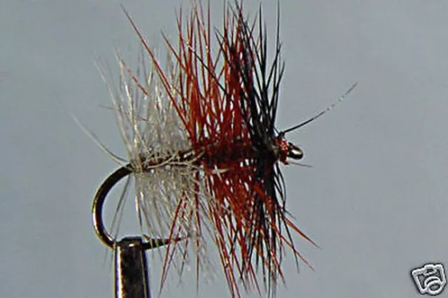 10 x Mouche de peche Sèche Tricolore Foncée H10/12/14/16 mosca fliegen fly trout