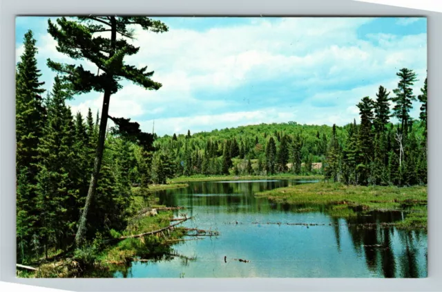 Ontario-Canada, Algonquin Natl Park, Scenic Lake, Vintage Postcard