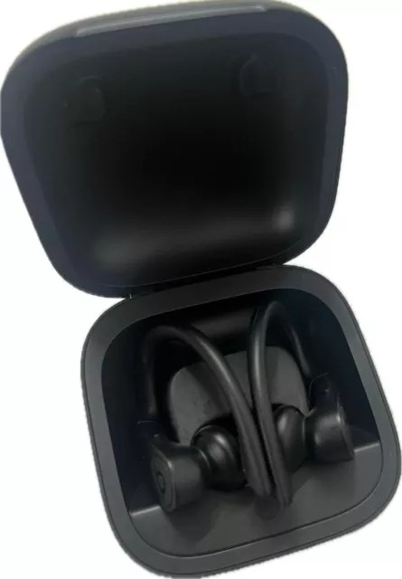 Apple Beats Powerbeats Pro A2453 Kopfhörer kabellos Bluetooth Schwarz