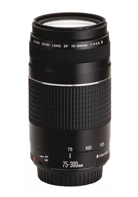 Canon EF 75-300mm 4.0-5.6 III Vitrinenmodell, Canon Fachhändler #X33050