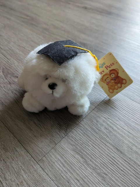 RUSS SOFT PLUSH Honor Roll College Graduation Cap USED w Tags $0.99