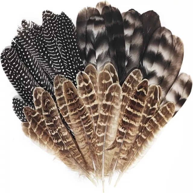 Touch of Nature Ringneck Pheasant Feathers Dark Olive 10-12 2pc