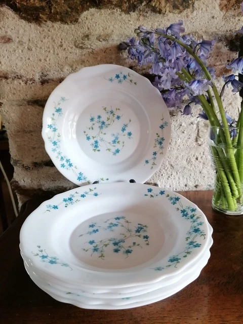 Lot De 6 Assiettes Creuses Arcopal Veronica Myosotis - Vintage 22.5 Cm - Blanc à Motifs Fleurs