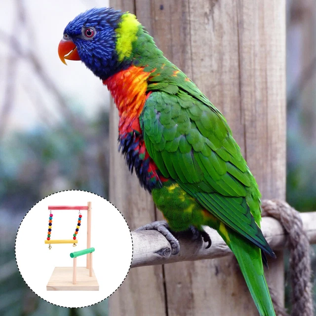 1PC  Papagei Lustige Spielzeug Vogel Papagei Spielzeug Vögel