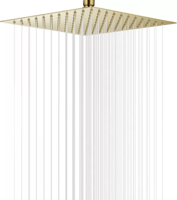 Study High Pressure Square Brushed Gold Shower Head 16 Inches