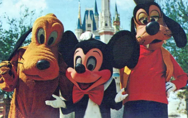 Disneyland Mickey Pluto Goofy Donald Duck Minnie Castle 1990s 4x6 Postcard  A19