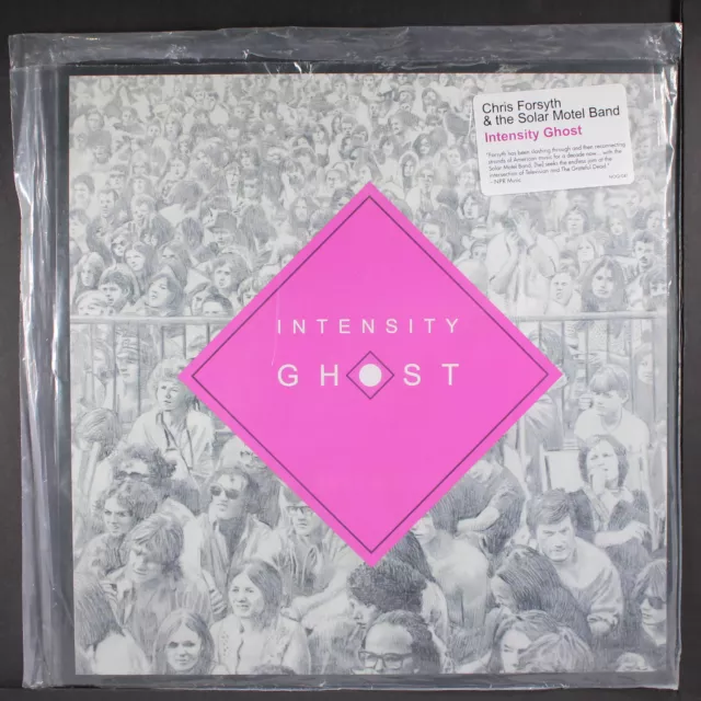 CHRIS FORSYTH & SOLAR MOTEL BAND: intensity ghost NO QUARTER 12" LP 33 RPM Seale