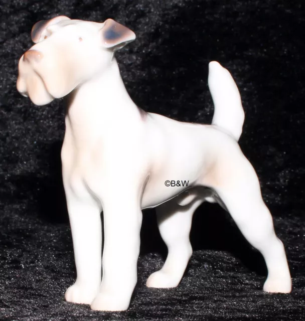 Bing&Grondahl / Royal Copenhagen Figur #2072  "Terrier" Top 1. Wahl