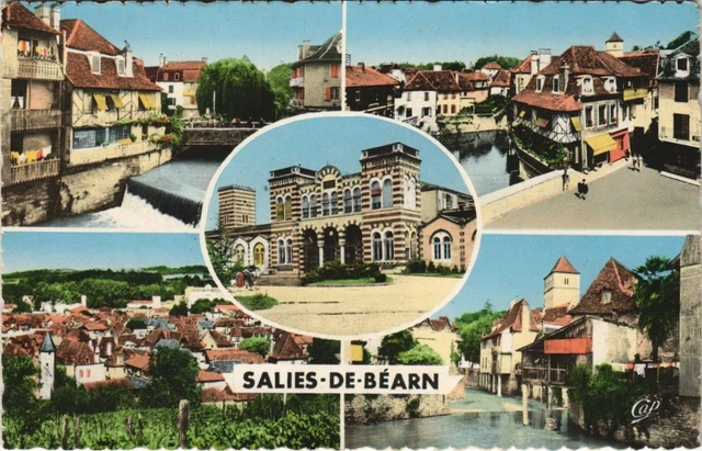 CPA AK Salies de Bearn Souvenir FRANCE (1131034)