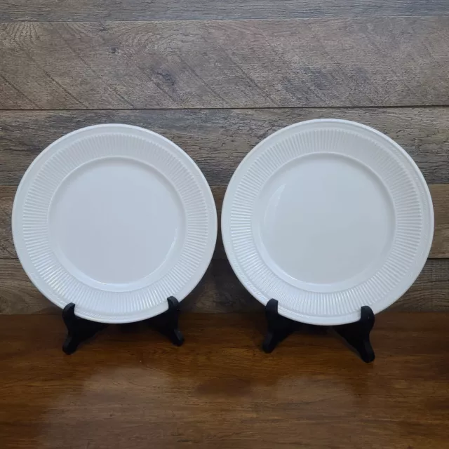 Set of 2 Syracuse China Staffordshire Restaurant Ware 9 1/4" Luncheon Plates