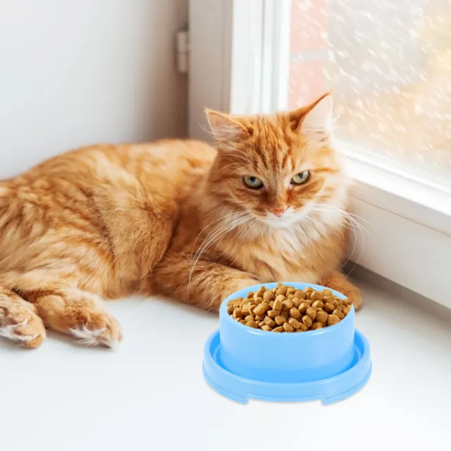 Alimentador para cachorros tazón de comida para mascotas gatitos tazones de agua contenedor platos de alimentación interior