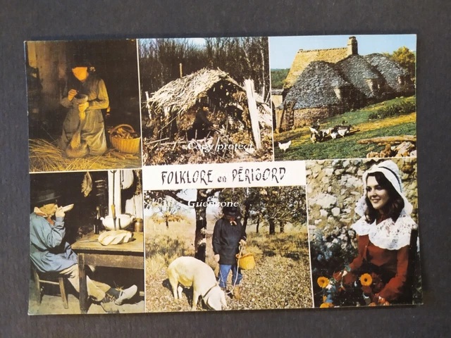 FOLKLORE PERIGORD multivues Truffes Chabrol oies   carte postale postcard