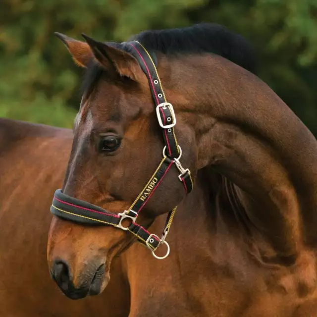 Horseware Rambo Padded Head collar Horse Fleece Halter PONY COB FULL
