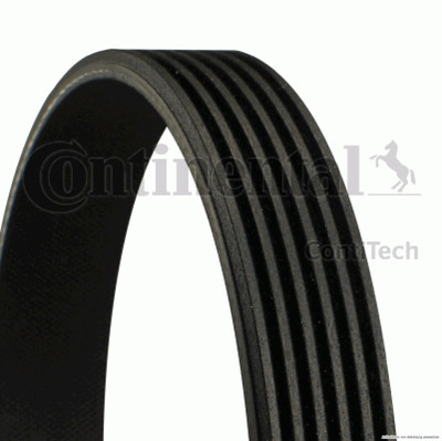 V-Cinghie Scanalate Per BMW FIAT HONDA CONTINENTAL ctam 6PK986 