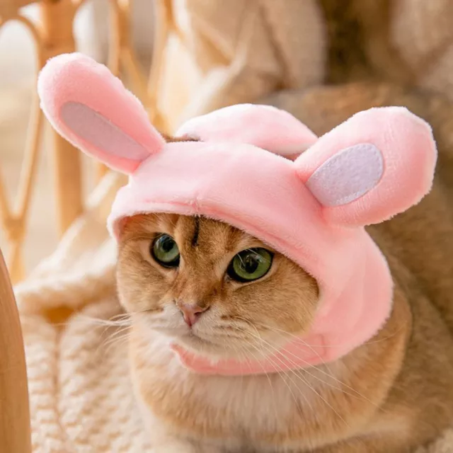 Pet Decor Dress Up Photograph Props Pet Headwear Pet Cap Dog Costume Cat Hat