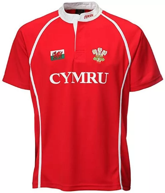 New Mens Kids Welsh Cymru Wales Cooldry Grandad Collar Rugby Casual T-shirt Top