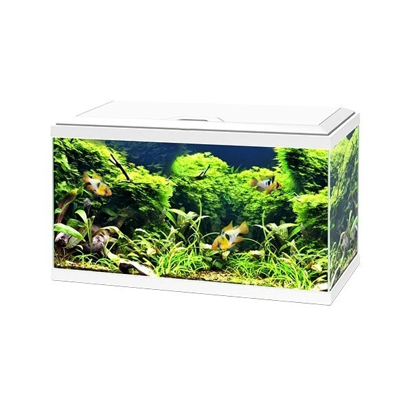 White Tropical Glass Aquarium Fish Tank Kit Inc Filter LED Lights Heater 58L 2