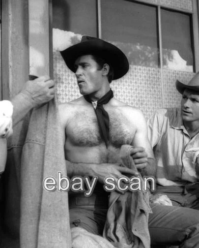 Clint Walker Of Cheyenne Barechested Beefcake   8X10 Photo  97