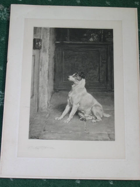 Antique Fox Terrier Dog Pencil Signed Ltd Ed Etching Briton Riviere 1900