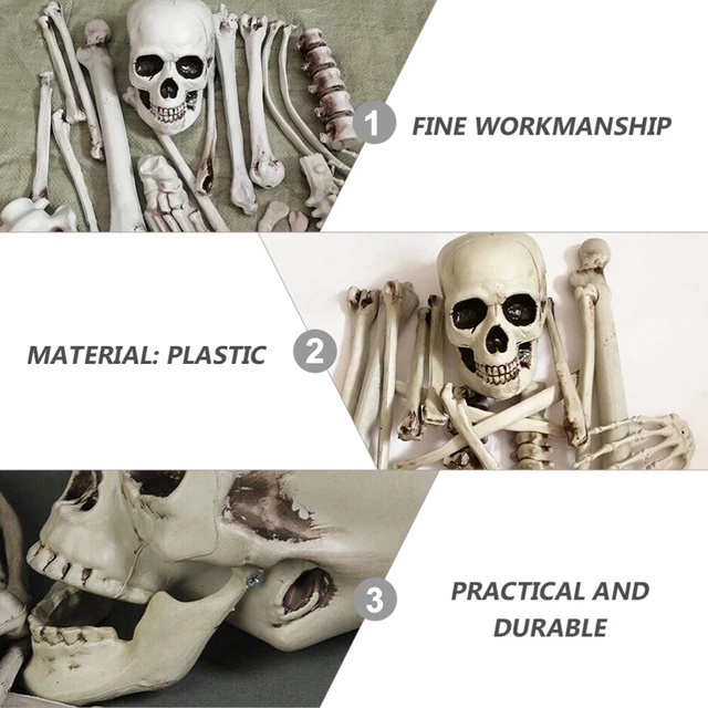TESCHIO SCHELETRO OSSO Scheletrico Realistico E Corpo Umano EUR 28,08 - IT