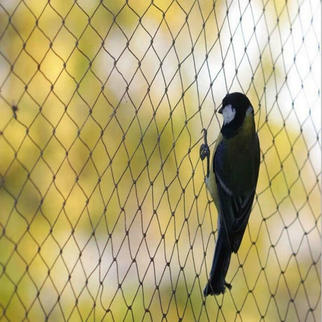 Filet oiseau en nylon extra résistant 5 x 25 m taille essentiel pour la protect