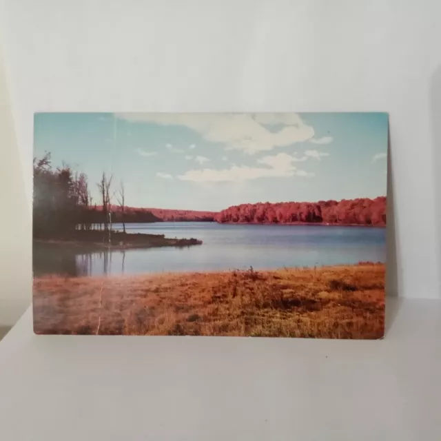 Vintage Americana Scenery Lake Jean Endless Mountains Williamsport PA Postcard