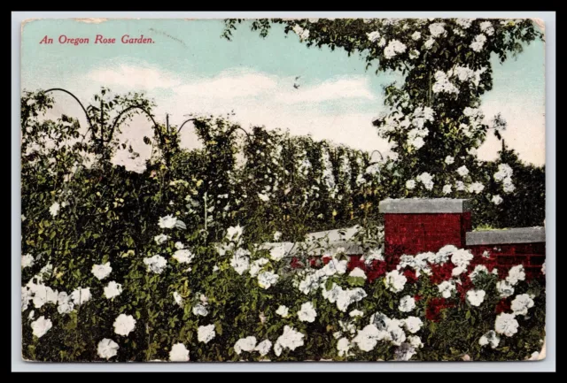 PORTLAND INTERNATIONAL ROSE GARDEN, OREGON, Southern Pacific Railroad, 1911