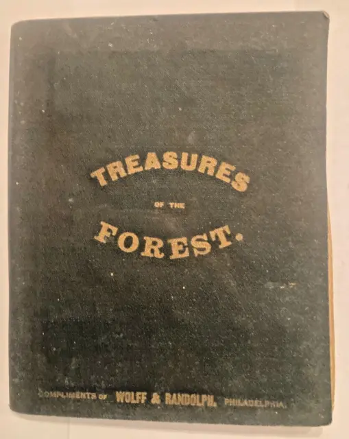 1886 "Treasures of the Forest" Book Containing Samples of Wood Used In Cabinetry