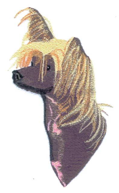 Embroidered Long-Sleeved T-Shirt - Chinese Crested BT3075 Sizes S - XXL