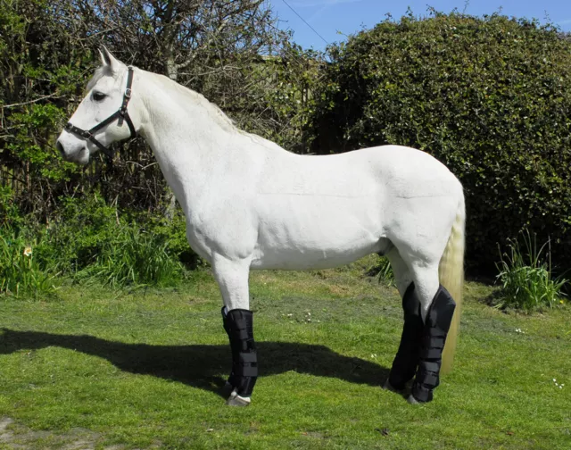 Rhinegold Full Length Horse Travel Boots | Black or Navy | Pony, Cob, Full