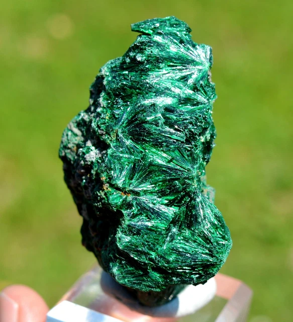 Malachit 142 Gramm - DER STERN Des Kongo Mine, Lubumbashi, Dr Kongo