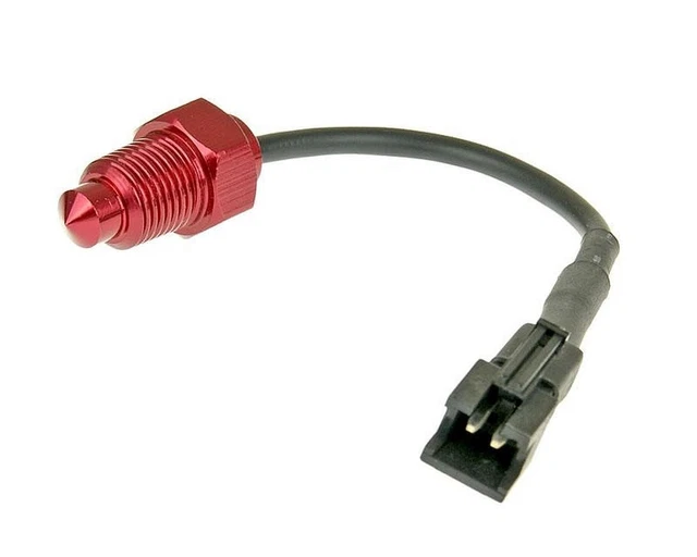 Sonde de température pour instruments KOSO PT 1/8