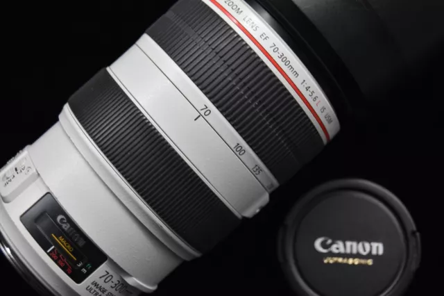 [NEAR MINT] Canon EF 70-300mm f/4-5.6 L IS USM From JAPAN #1967