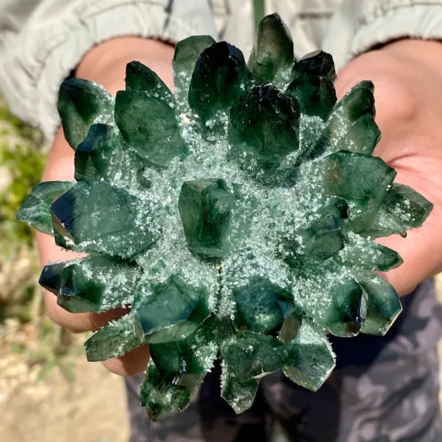 1.5LB New Find Green Phantom Quartz Crystal Cluster Mineral Specimen Healing-AG