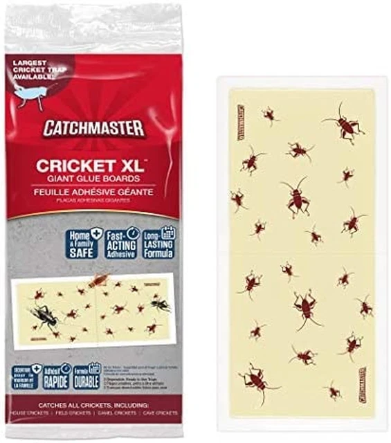Cricket XL by  - 6 Glue Traps, Ready to Use Indoors. Largest Spider Scorpion Ins