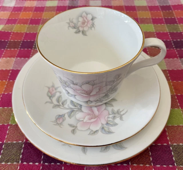 Tea Set Pastel Flowers 3 Piece Fine Bone China Crown Trent Staffordshire England