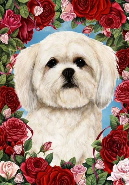 Roses House Flag - White Lhasa Apso 19294